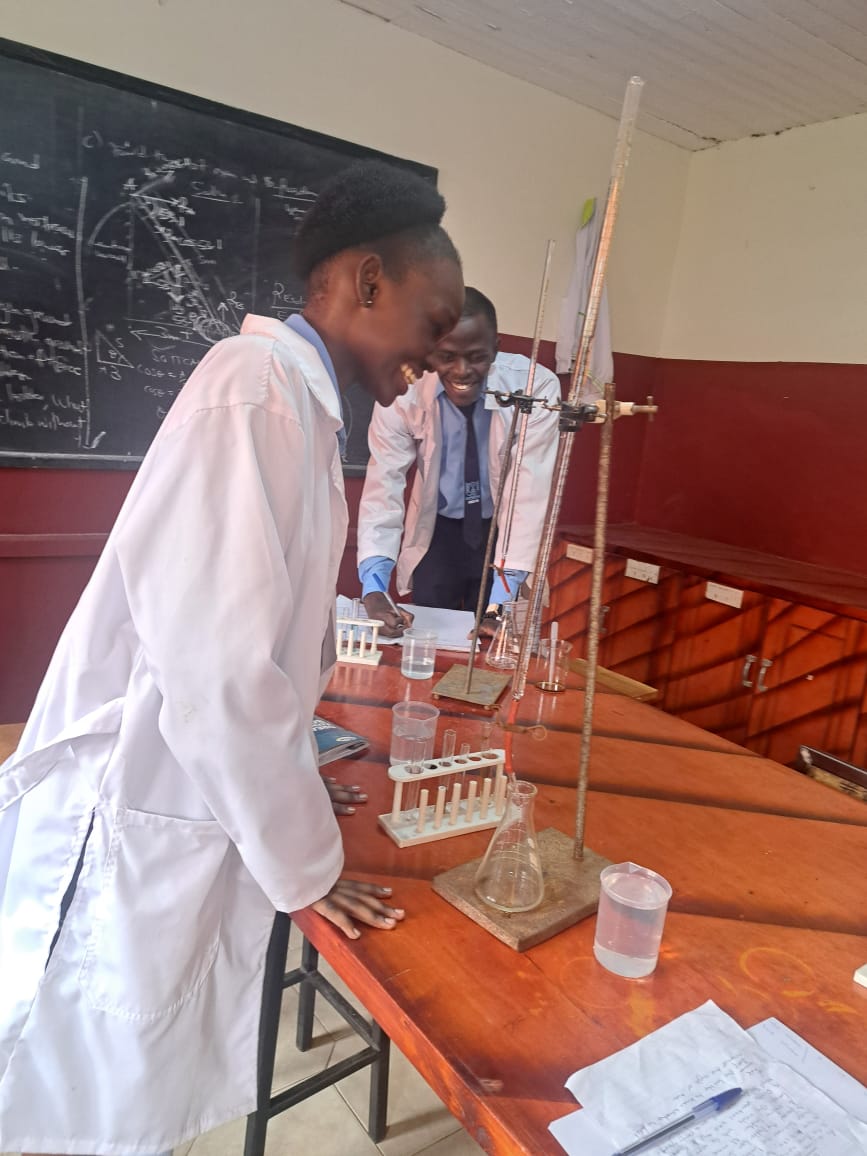 Students observing reaction results.